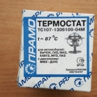 Термостат 87* прамо Термостат 87* прамо